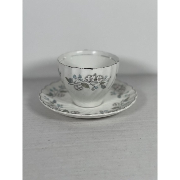 Antique Johnson Bros Tea Cup & Saucer Floral, Blackberries, Raspberries, Regency - Picture 2 of 6
